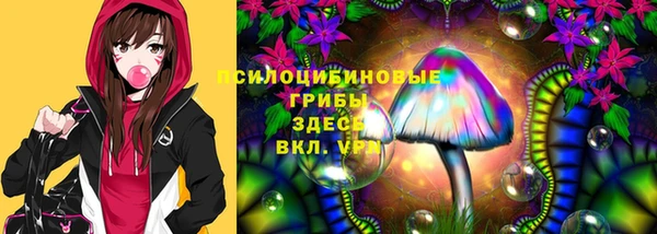не бодяженный Медвежьегорск
