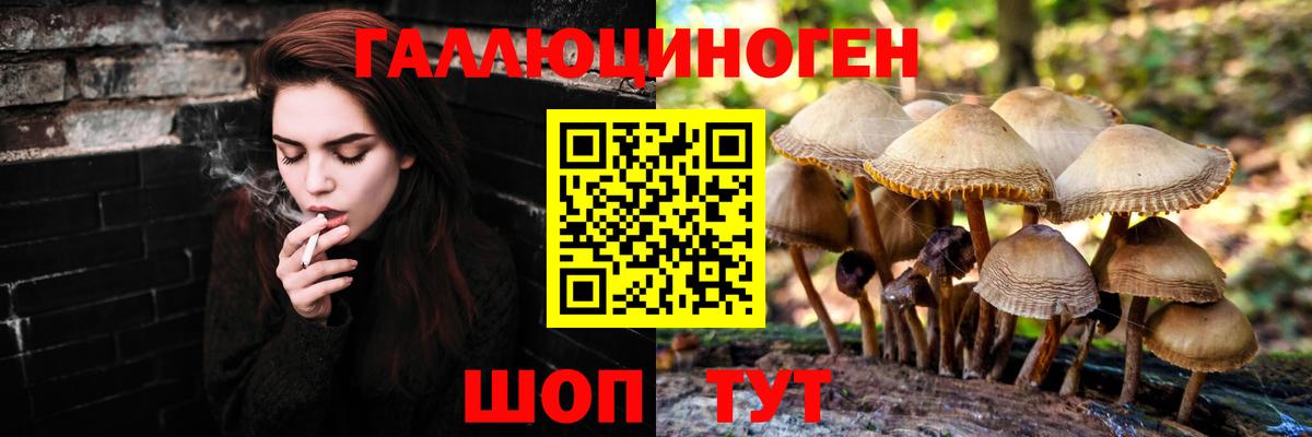 Псилоцибиновые грибы мицелий Сатка