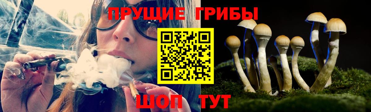 Псилоцибиновые грибы Magic Shrooms  Вход с VPN  Сатка  Галлюциногенные грибы Psilocybe 